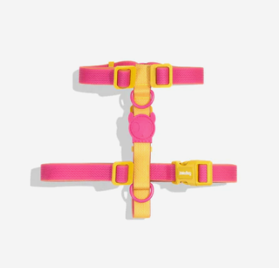 Zee dog h harness NEOPRO LYRA