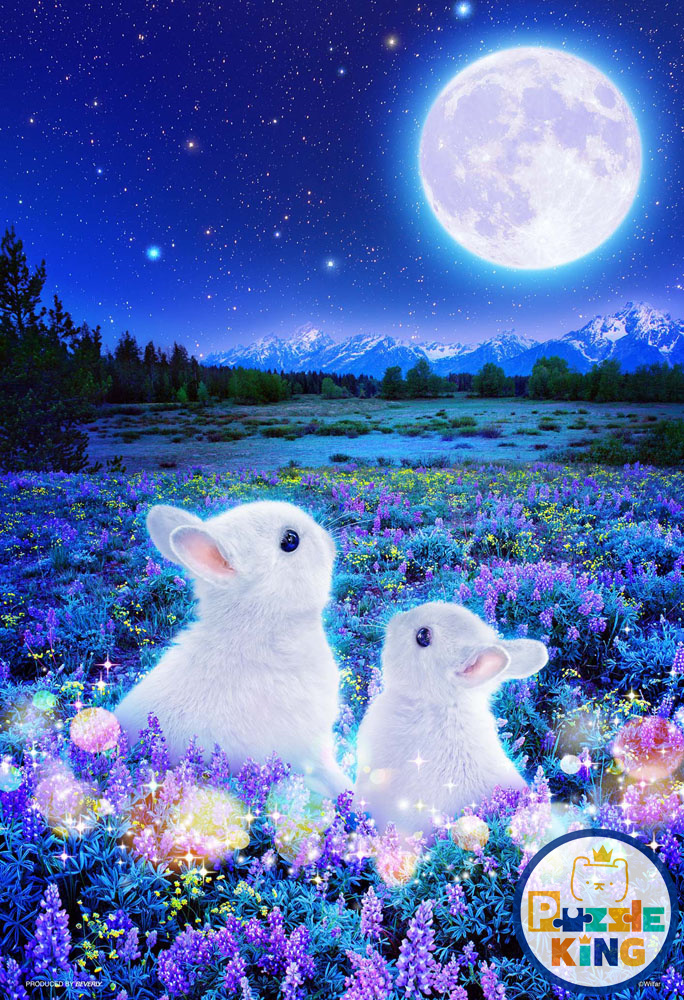 兔子等月亮 (夜光) (世界最小)