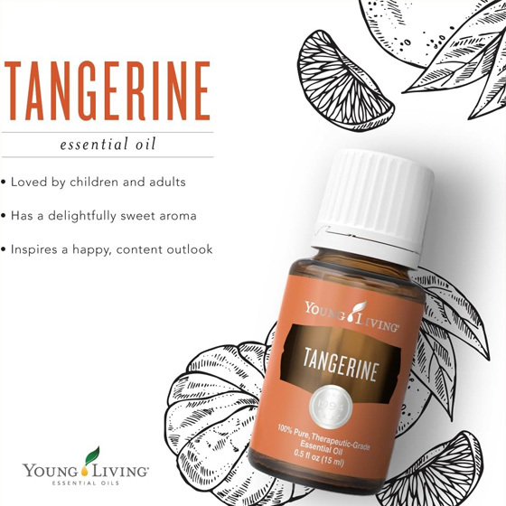Young Living Tangerine 柑橘精油