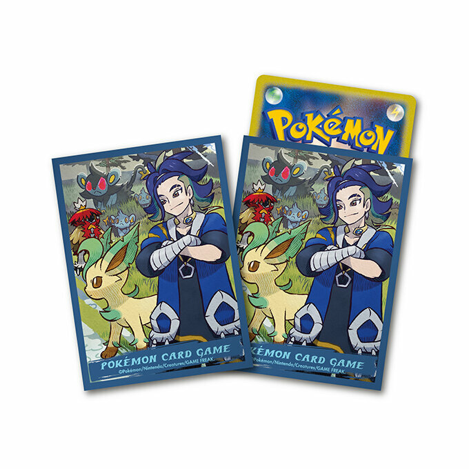 Pokemon Card Game 卡套 HISUI DAYS 剛石