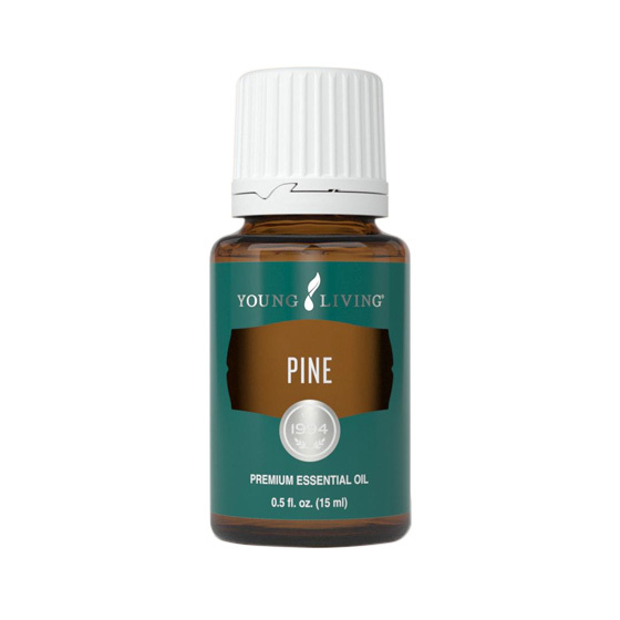 Young Living  松樹 (Pine) 精油