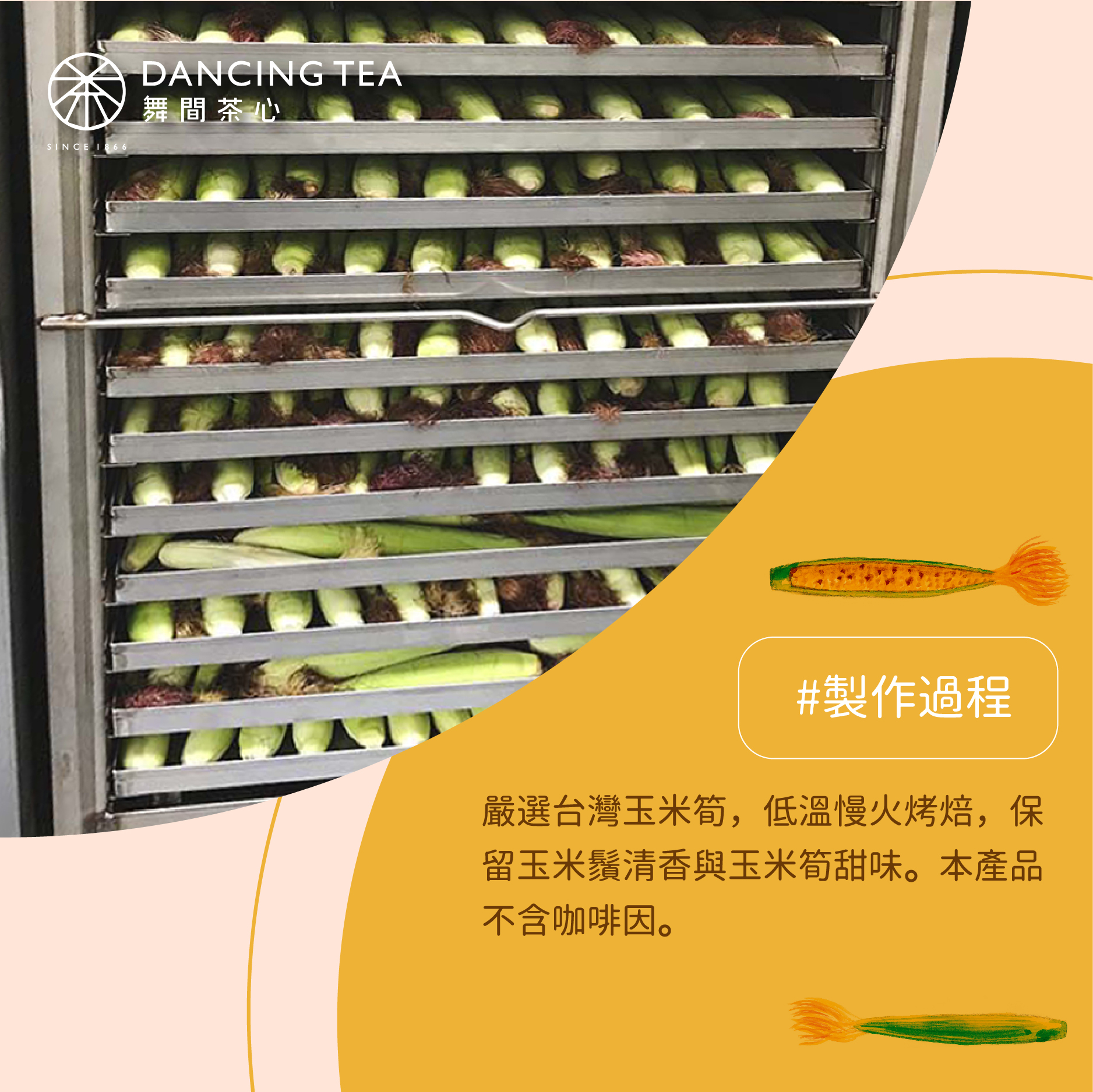 舞間茶心玉米鬚立體茶包10入