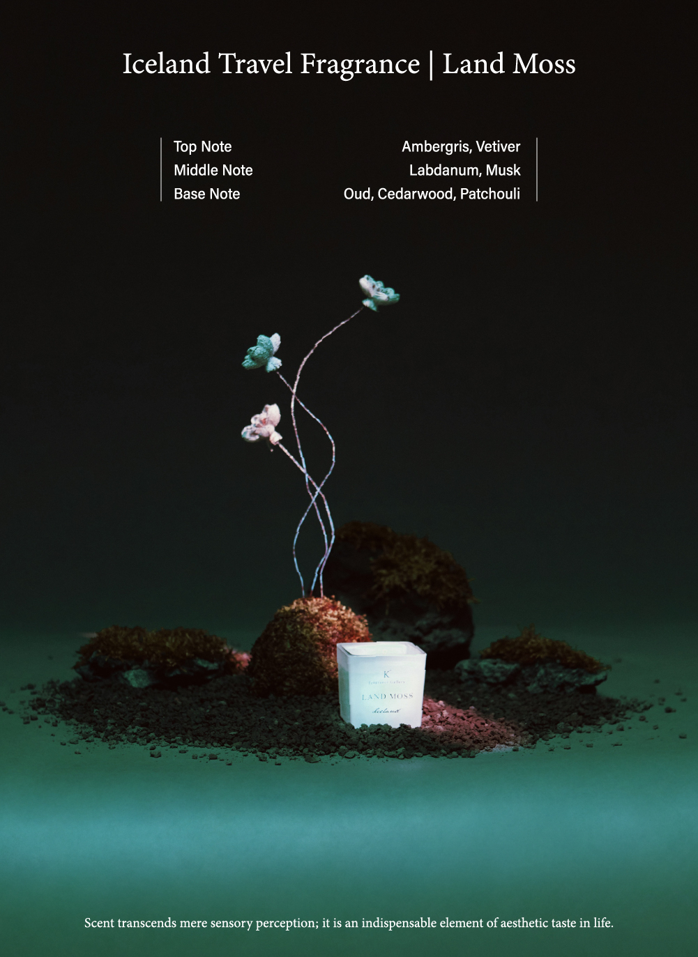 冷苔曠境香氛蠟燭情境圖