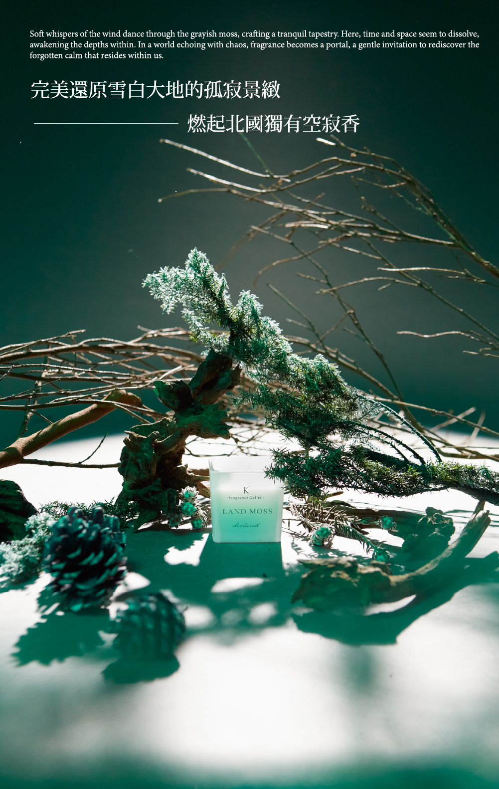 冷苔曠境香氛蠟燭情境圖