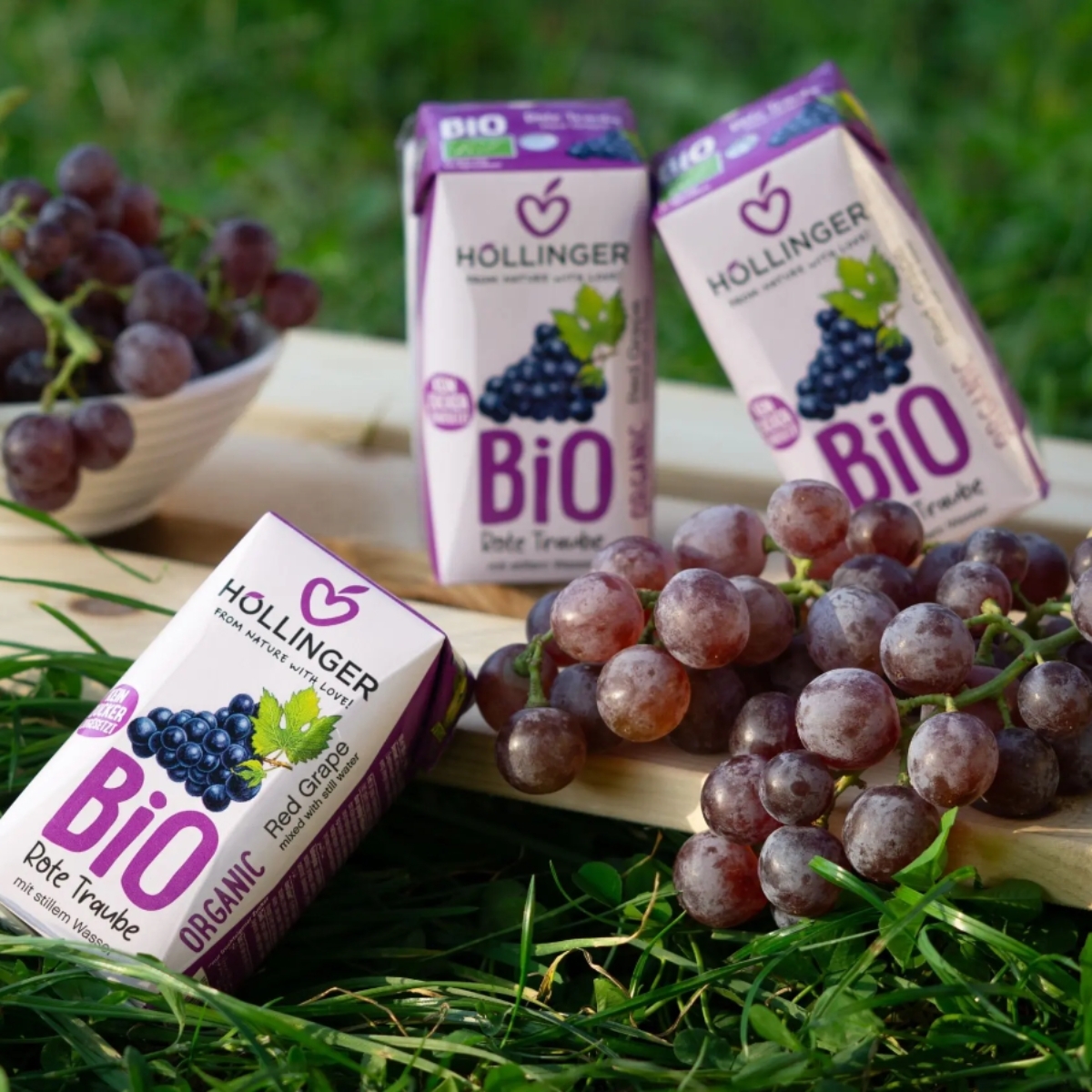 Hollinger - 有機無添加糖少甜兒童紅葡萄汁, 200毫升, 環保紙吸管,全素
