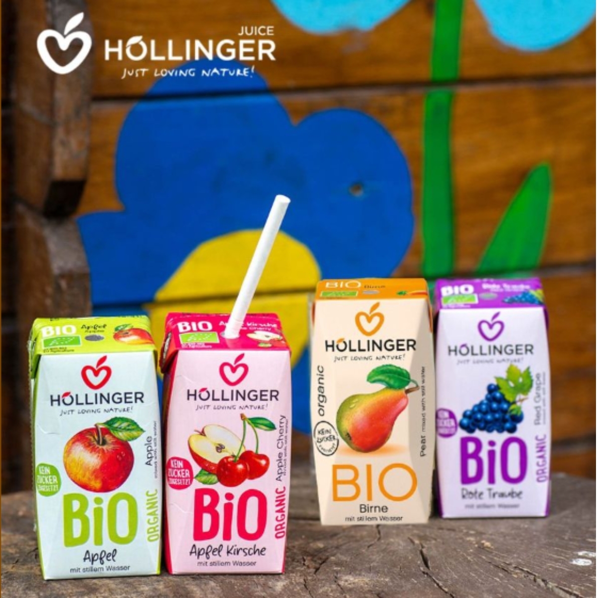 Hollinger - Organic School No Sugar Added Juice, 200ml - 奧地利有機無添加糖少甜兒童果汁, 200毫升