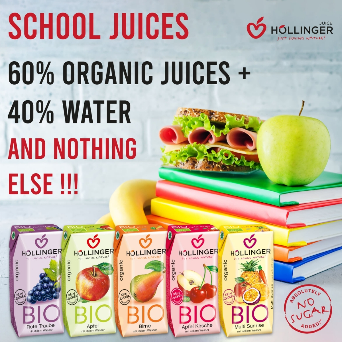 Hollinger - Organic School No Sugar Added Juice, 200ml - 奧地利有機無添加糖少甜兒童果汁, 200毫升