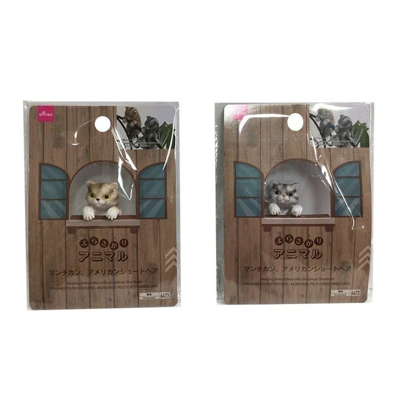 擺飾品/曼赤肯、美國短毛貓