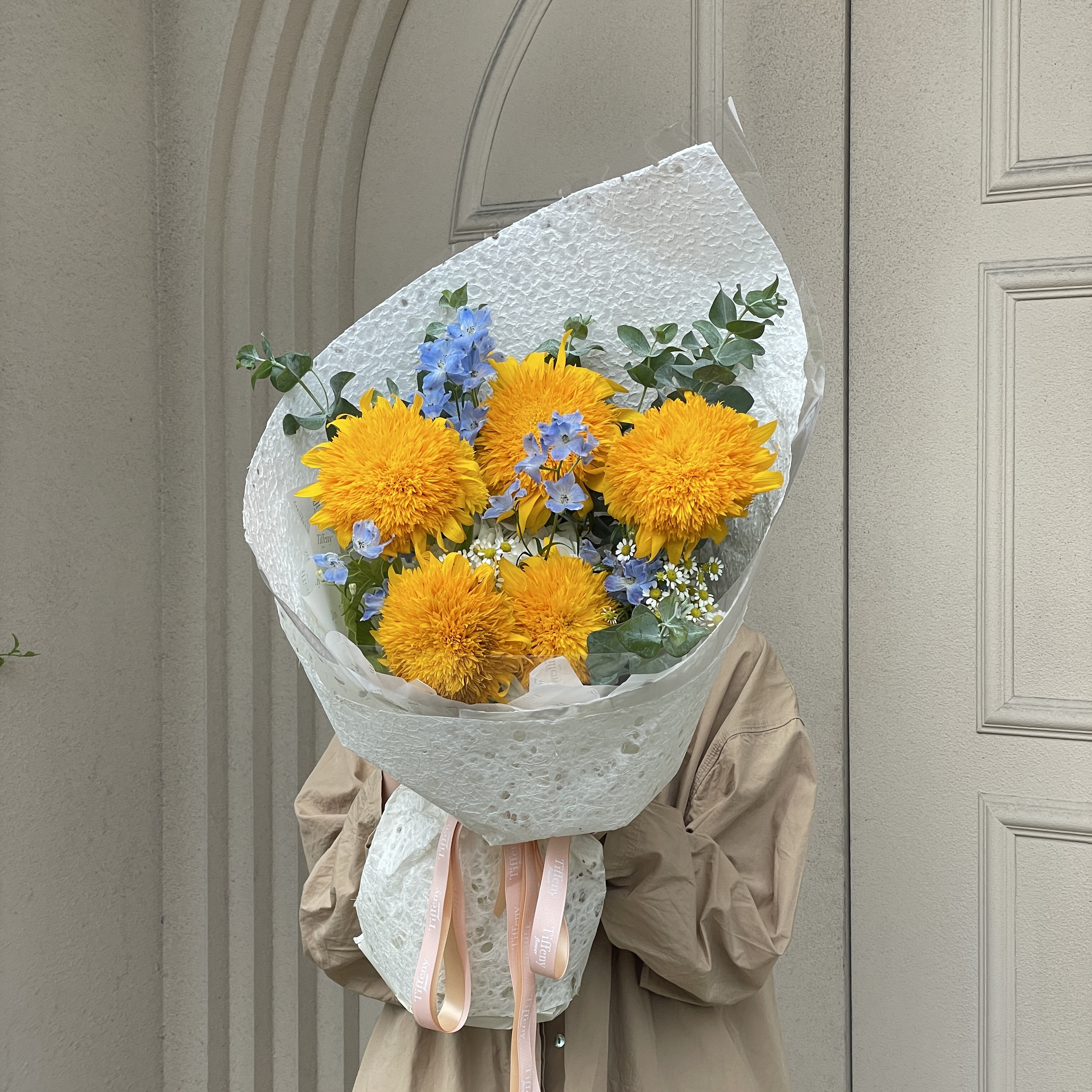 Teddy! 泰迪熊向日葵 L