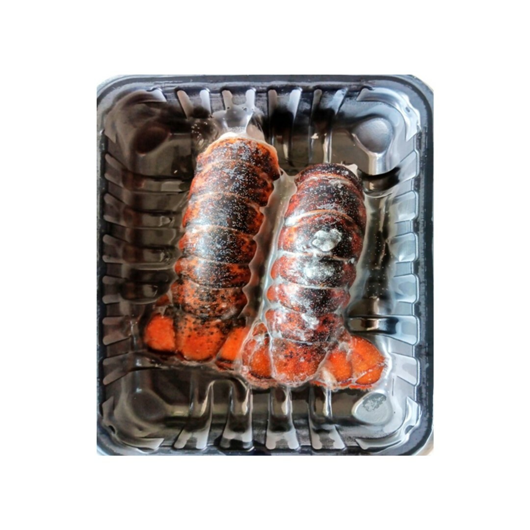 冷凍 波士頓龍蝦尾 2尾 / 盒