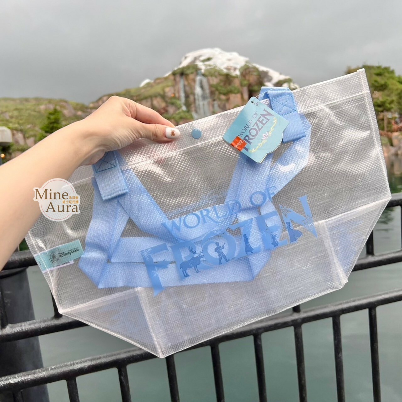 World of Frozen 限定 S號 購物袋 提袋 環保袋 冰雪奇緣 Frozen -香港迪士尼樂園