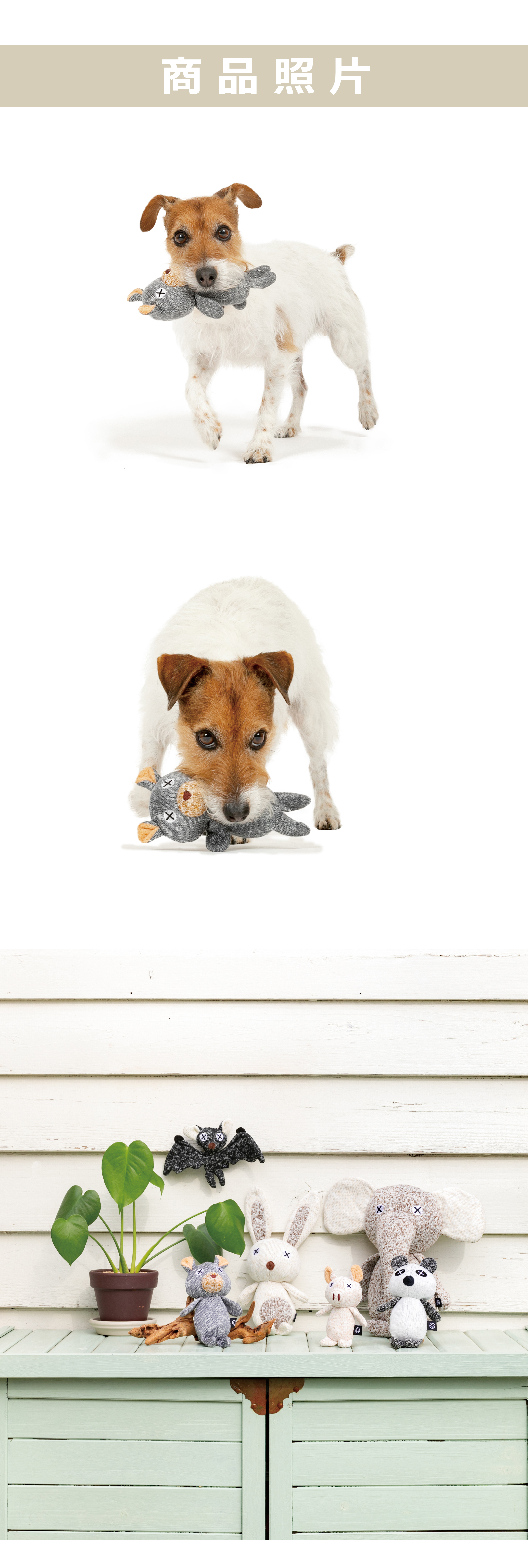 FAD 汪汪小熊，狗狗最愛無毒耐咬玩具