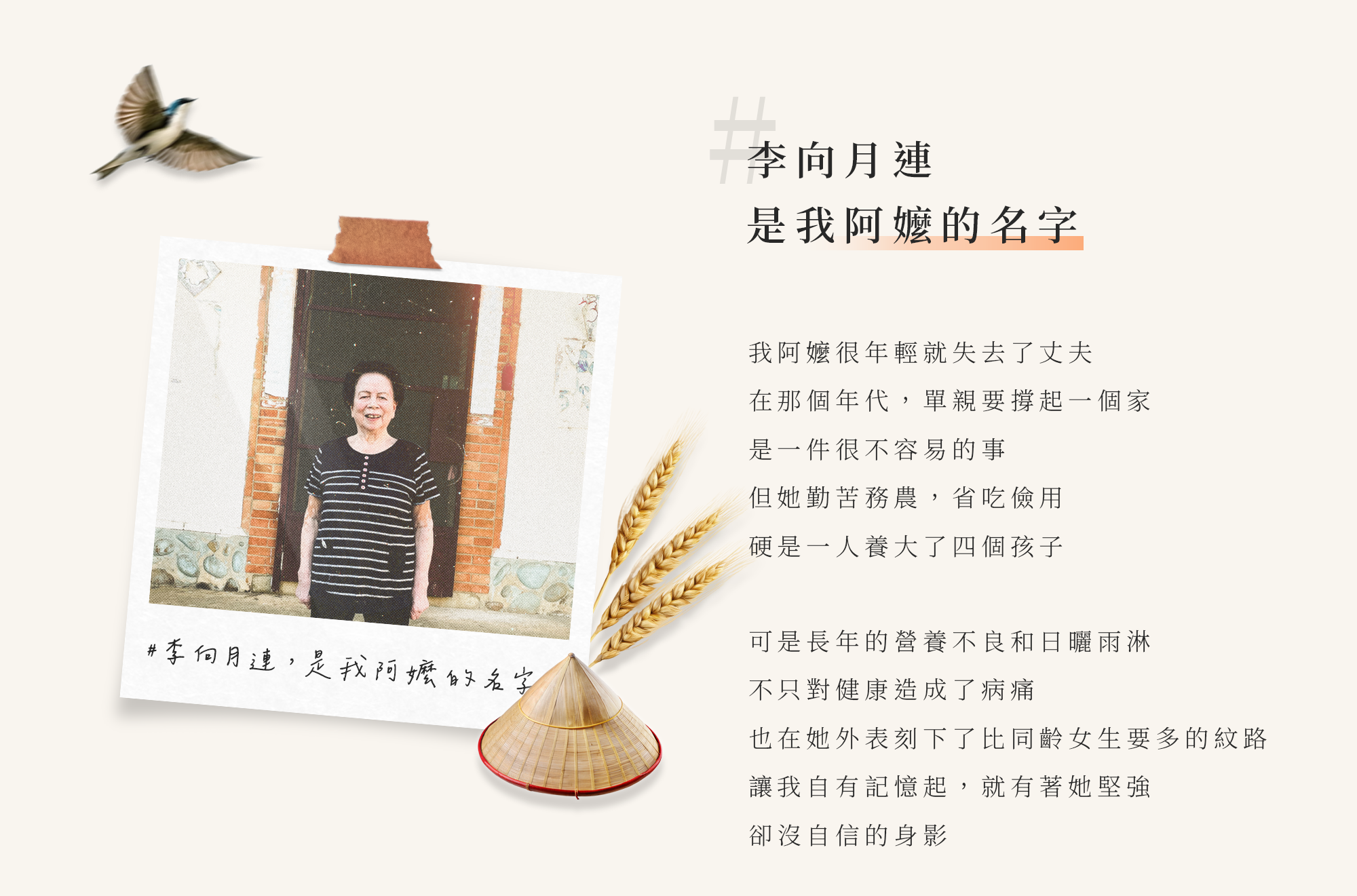 李向月連是我阿嬤的名字。她很年輕就失去了丈夫，在那個年代,單親要撐起一個家是一件很不容易的事。但她硬是一人養大了四個孩子。可是長年的營養不良和日曬雨淋，讓我自有記憶起,就有著她堅強卻沒自信的身影