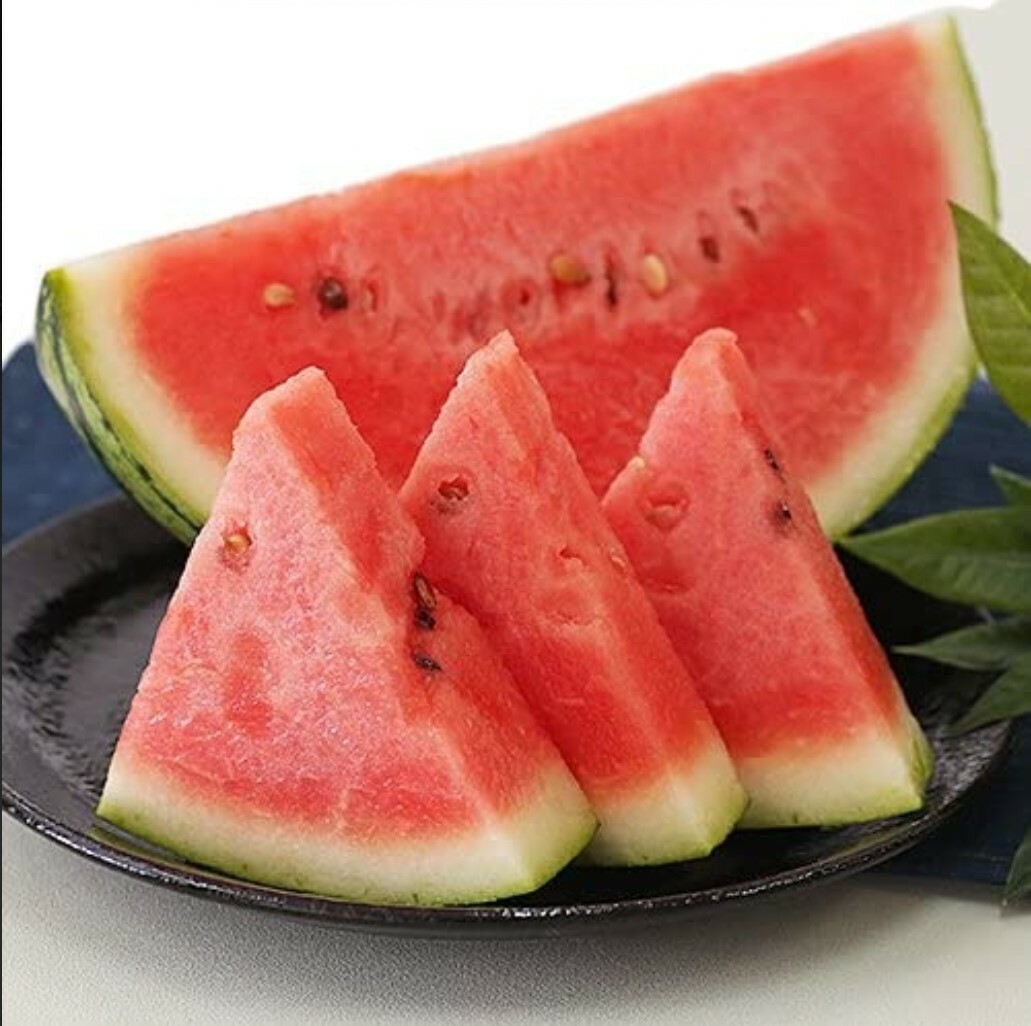 日本熊本縣小肉西瓜(1.2-1.5k)