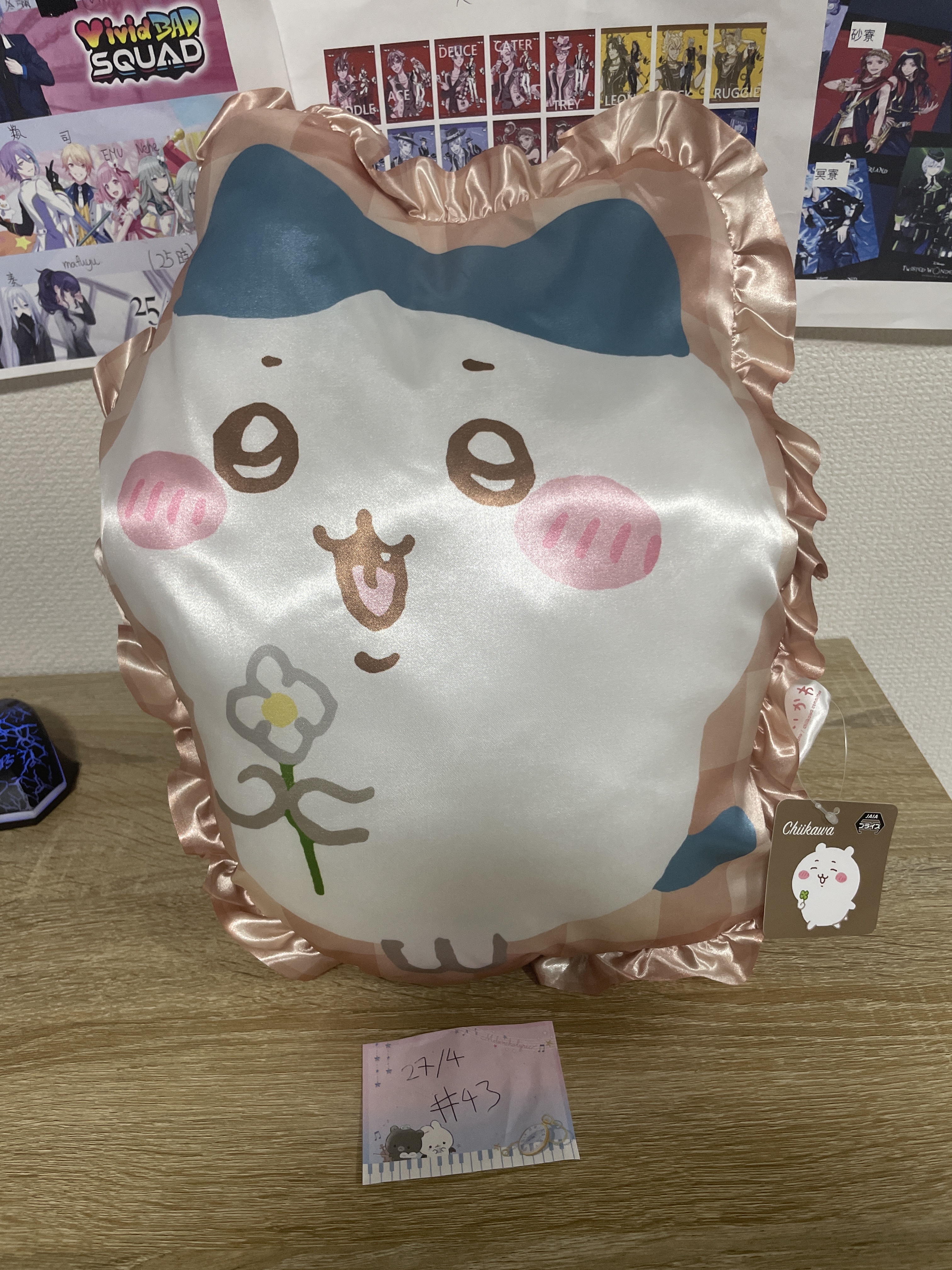 CHIIKAWA   八字貓 cusHion#43