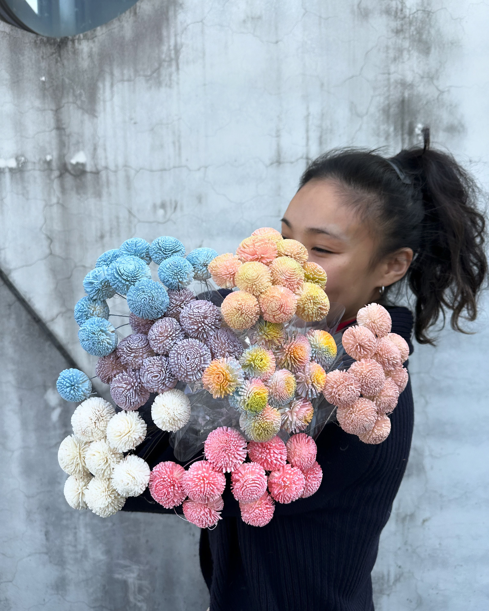 乾燥小乒乓索拉(3cm)