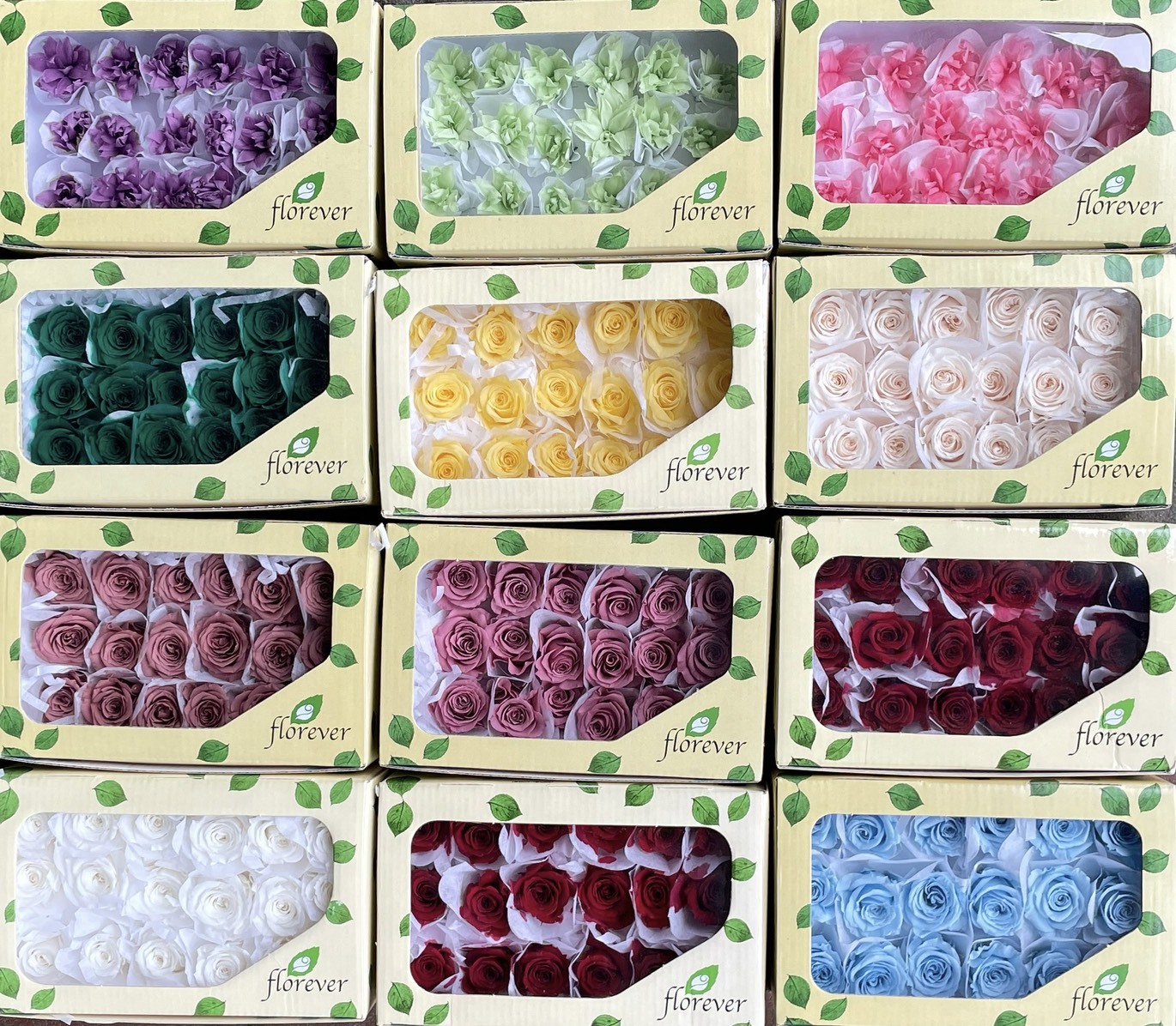 日本Florever永生18輪玫瑰