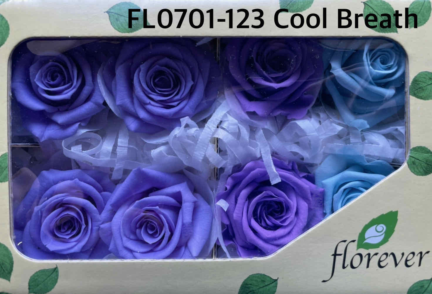♡SALE♡PET 9cm×10m 140cm/loop 云端玫瑰 日本Florever永生8輪玫瑰（3.5-4.5cm)