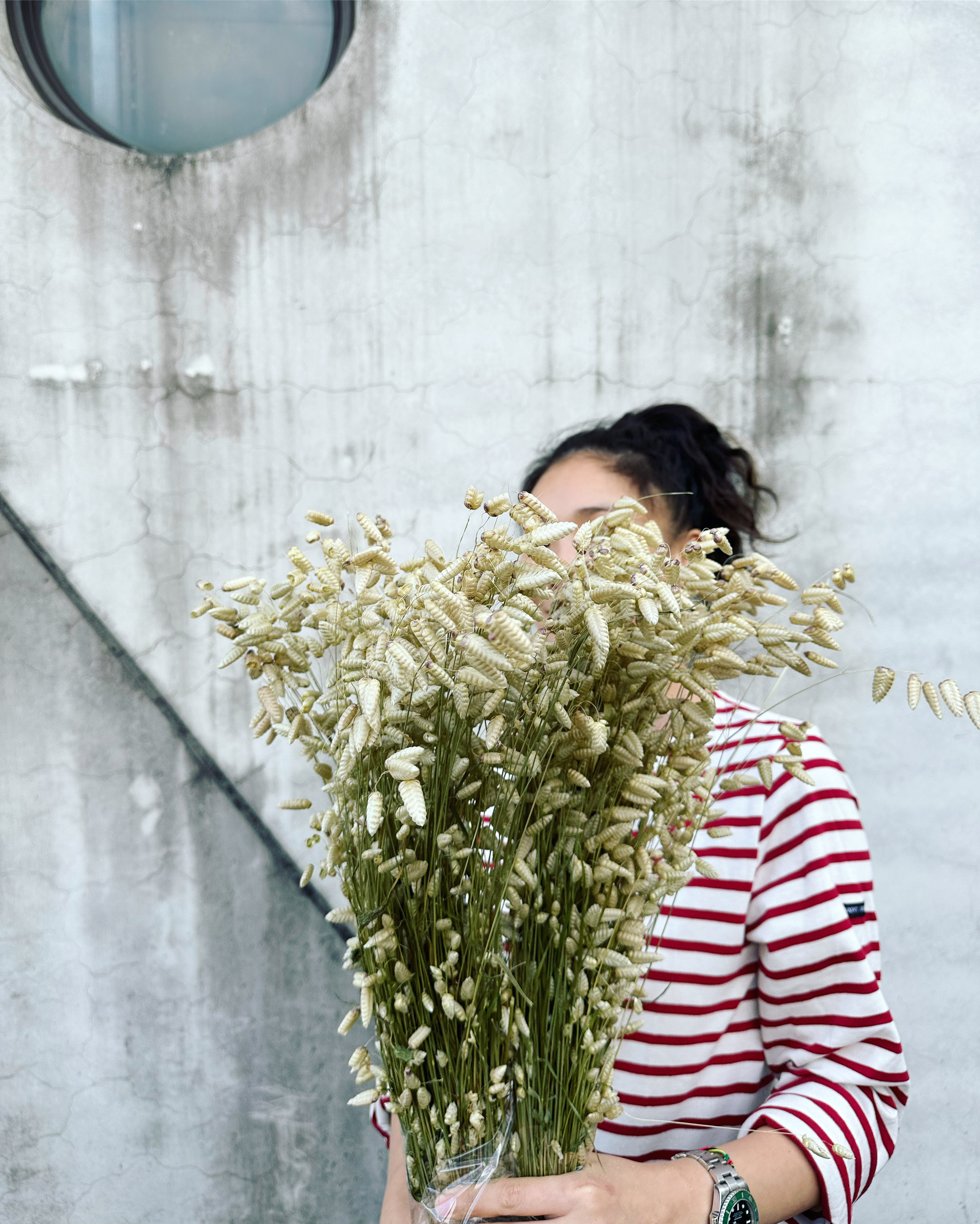 乾燥大燕麥(荷蘭)