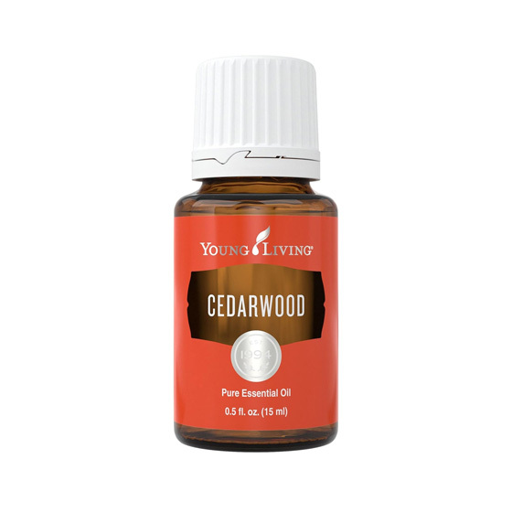 Young Living Cedarwood 大西洋雪松精油
