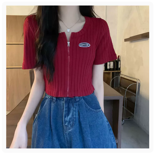 Cropped Zip-Up T-Shirt Top (Jujube) (One Size)