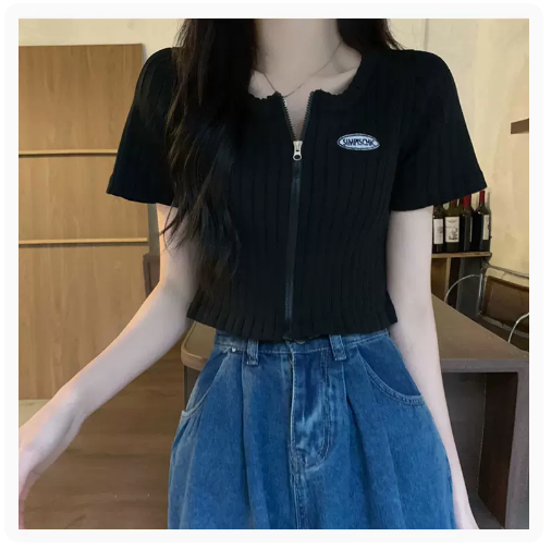 Cropped Zip-Up T-Shirt Top (Black) (One Size)