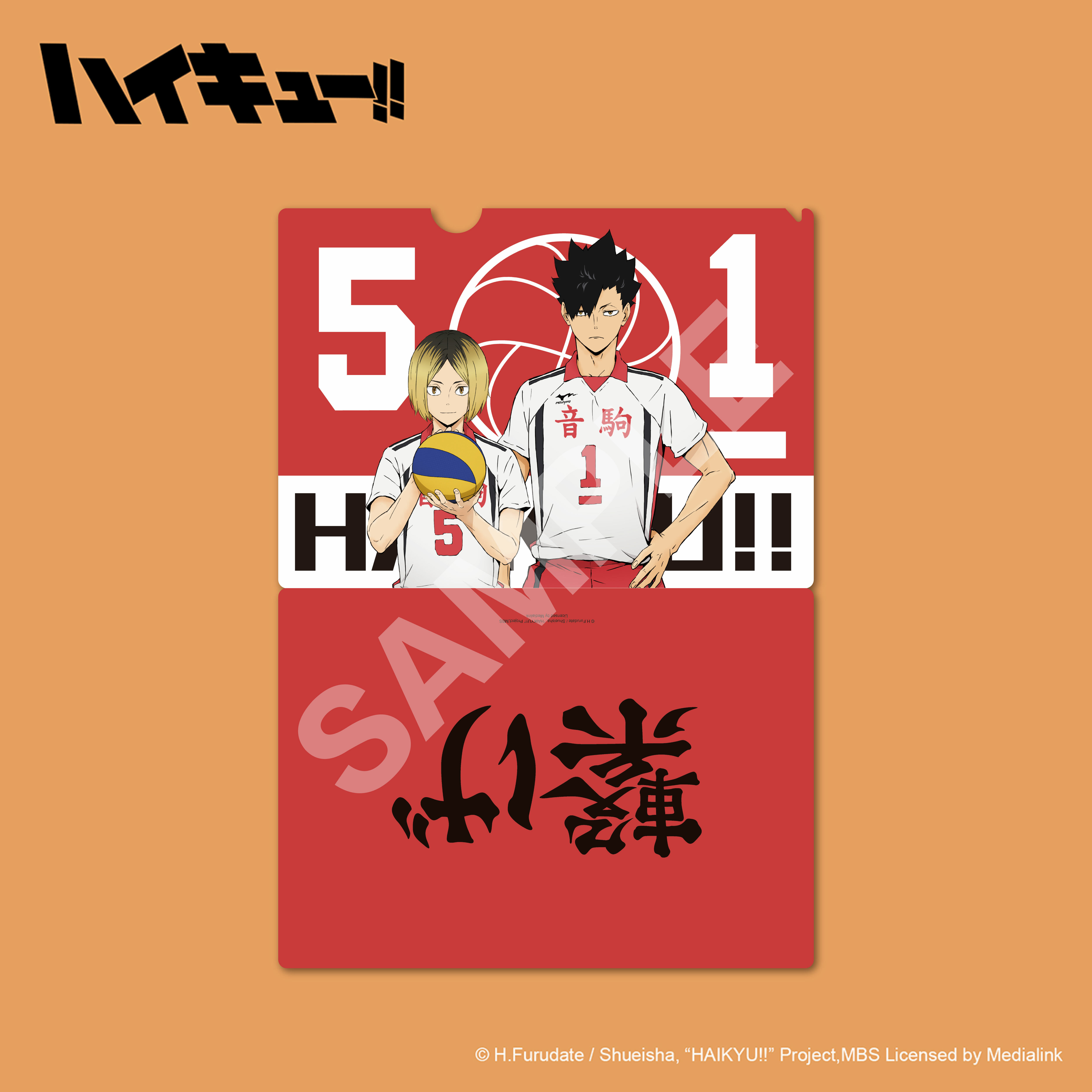 排球少年!!-資料夾-音駒高校