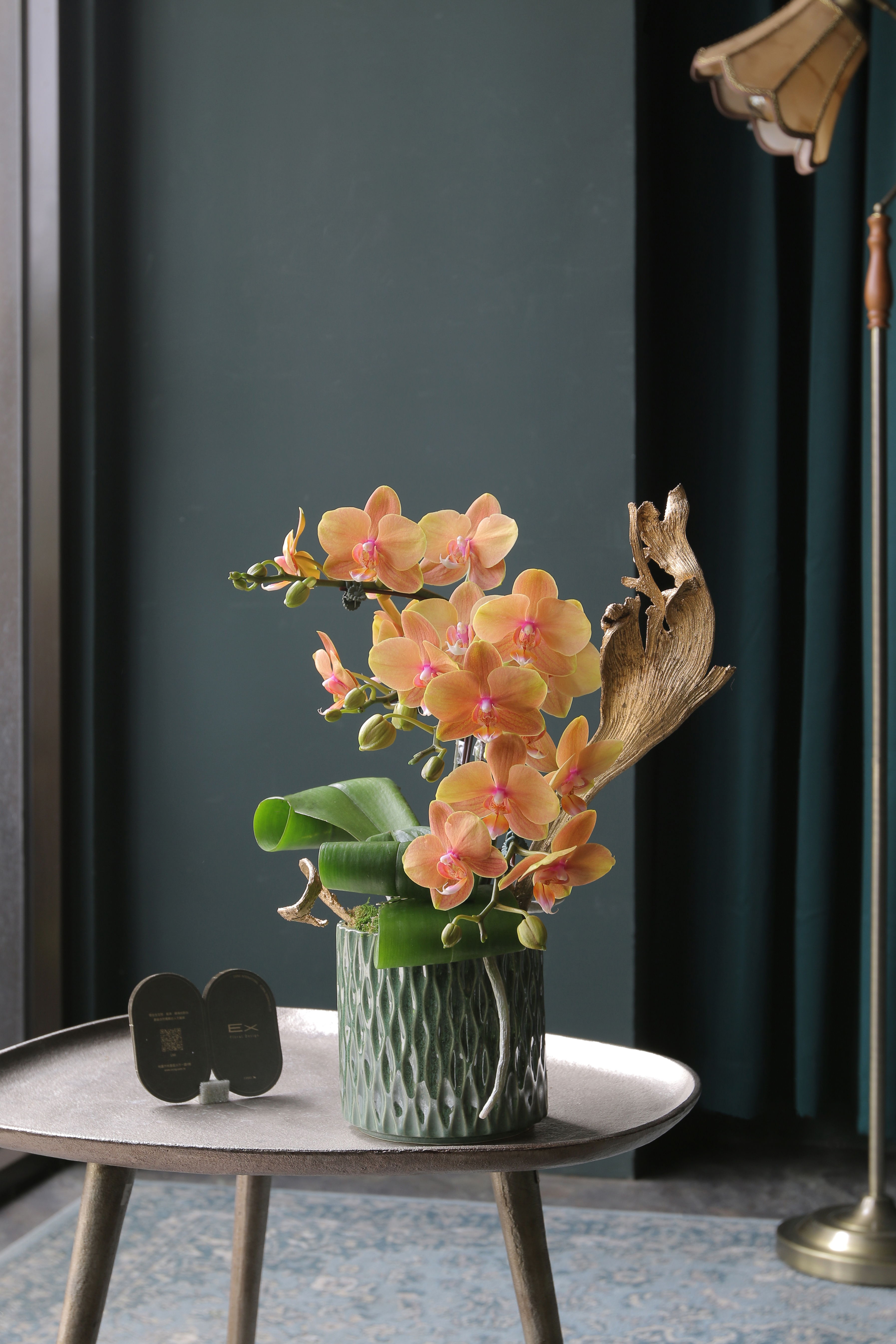 龍祥雲｜蝴蝶蘭花禮