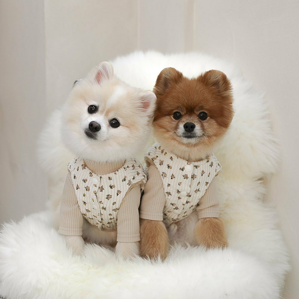 Near by us Flora Reversible Vest Set