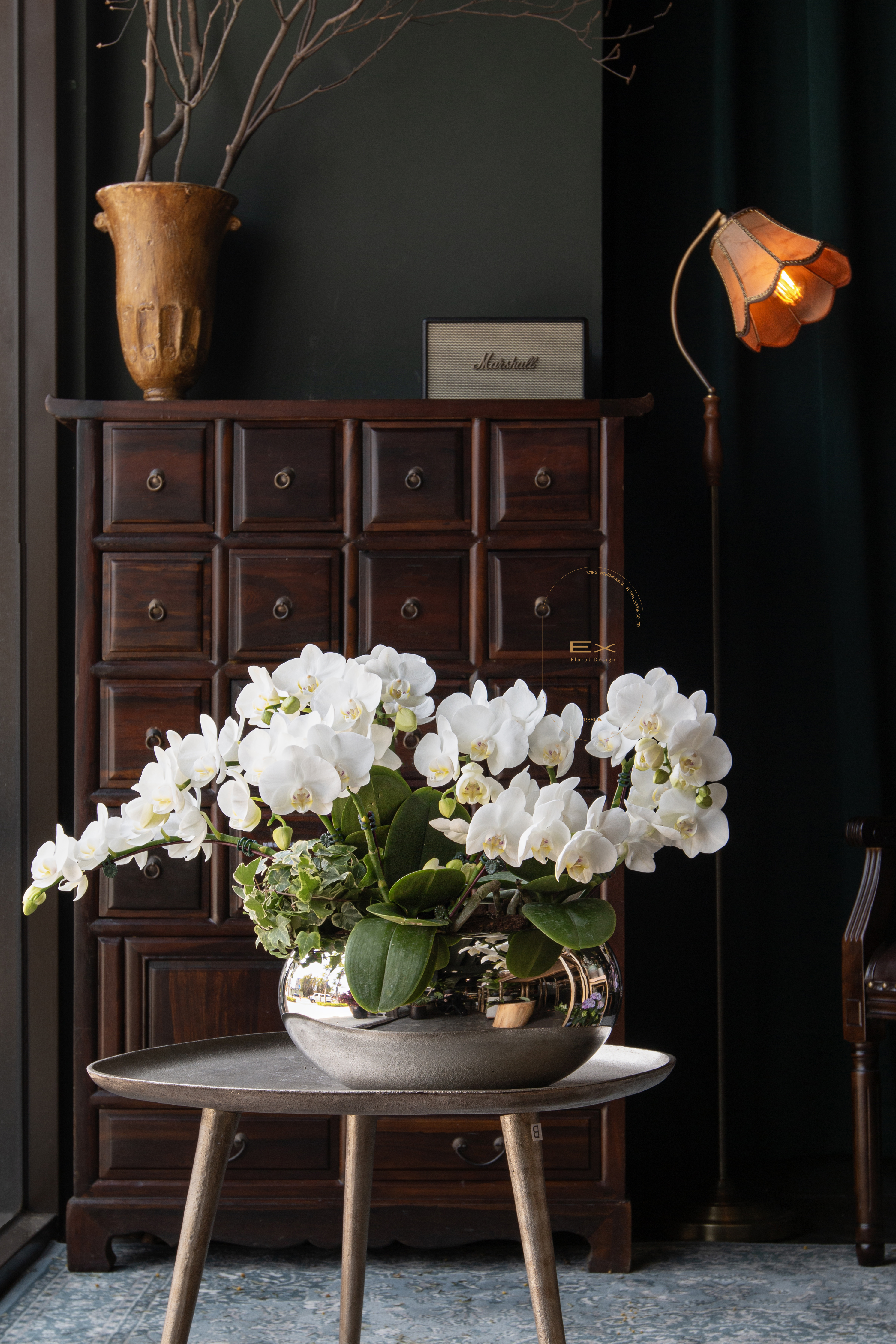 海鹽琴音｜蝴蝶蘭花禮