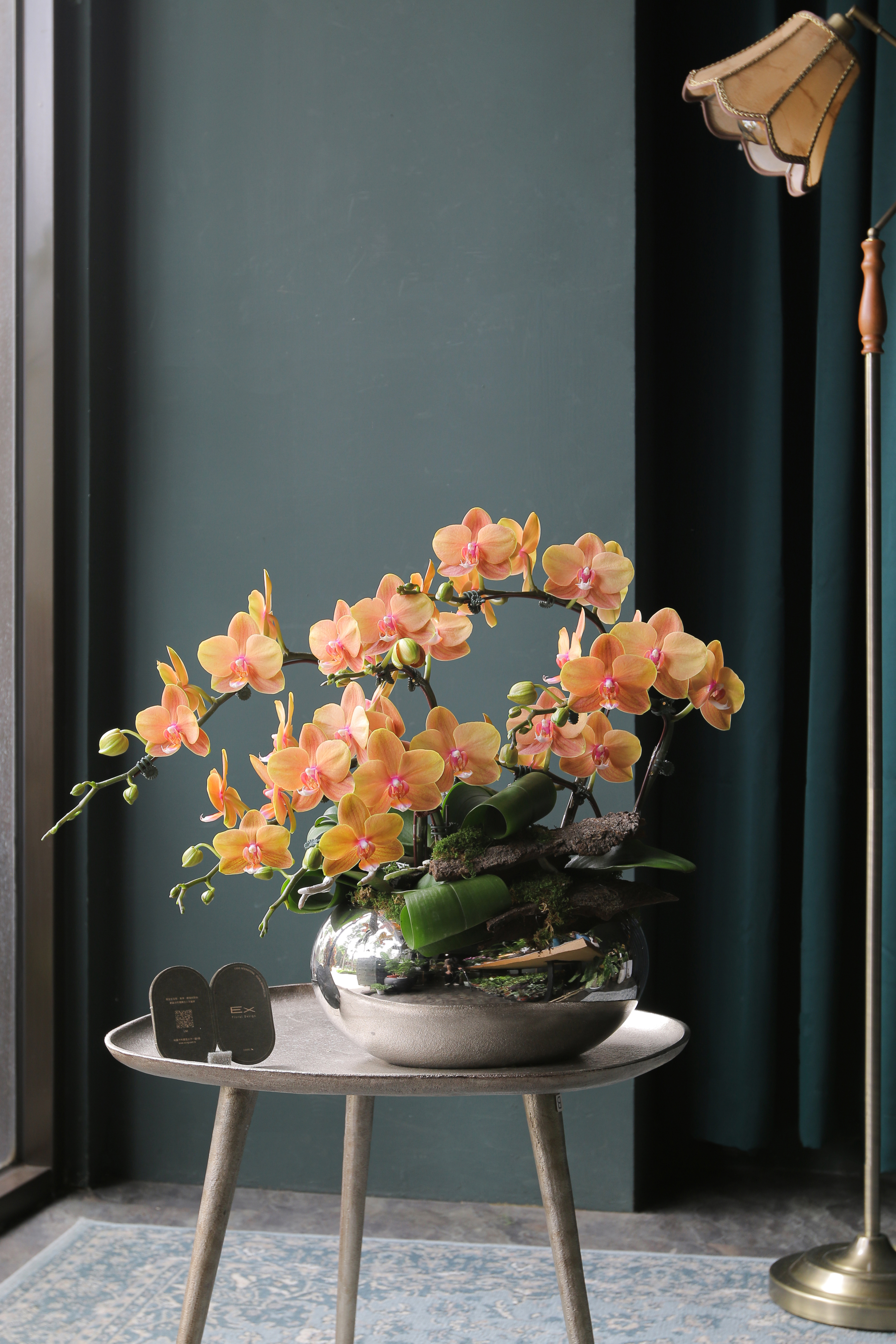 金銀滿屋｜蝴蝶蘭花禮 送禮