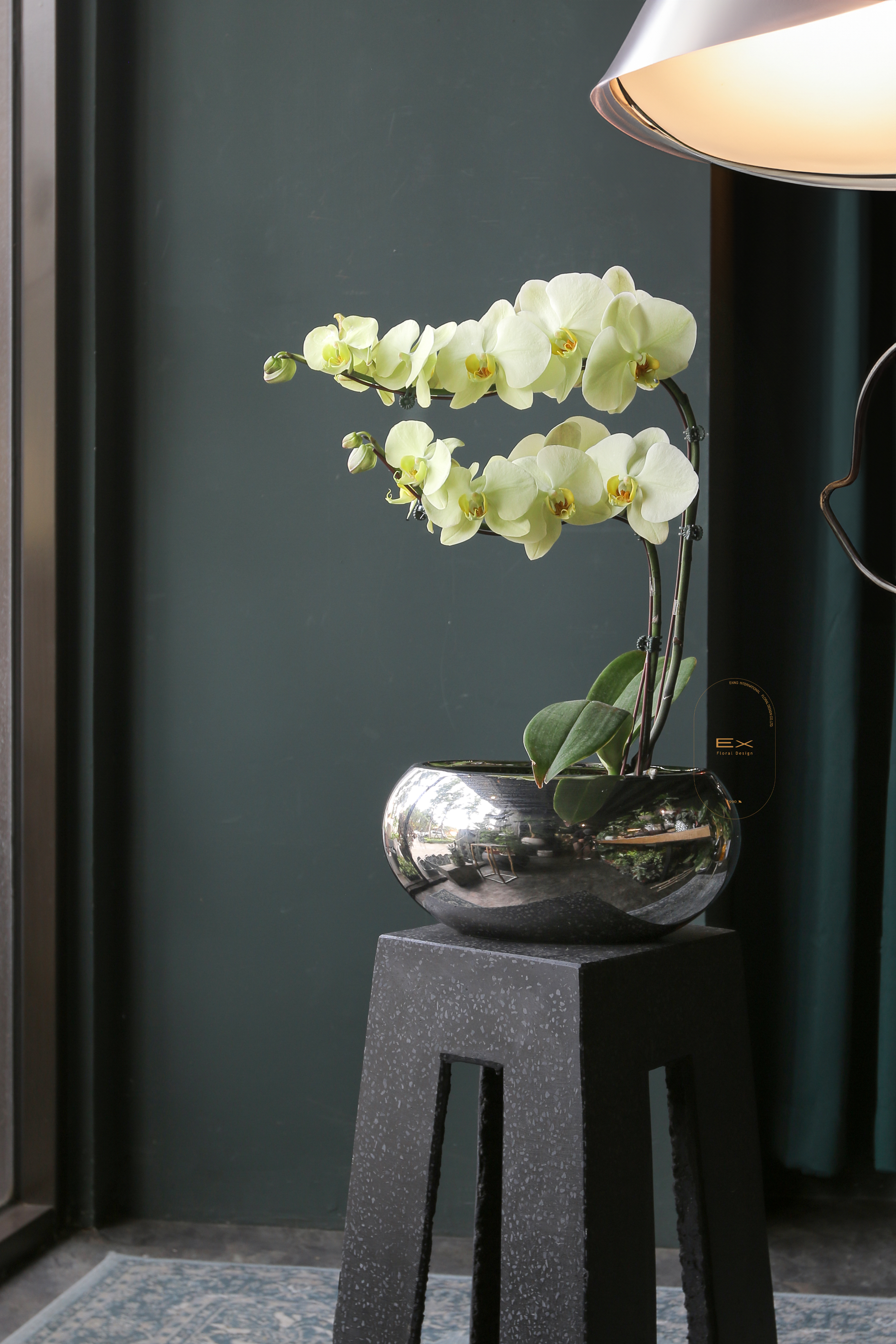 青果子｜蝴蝶蘭花禮