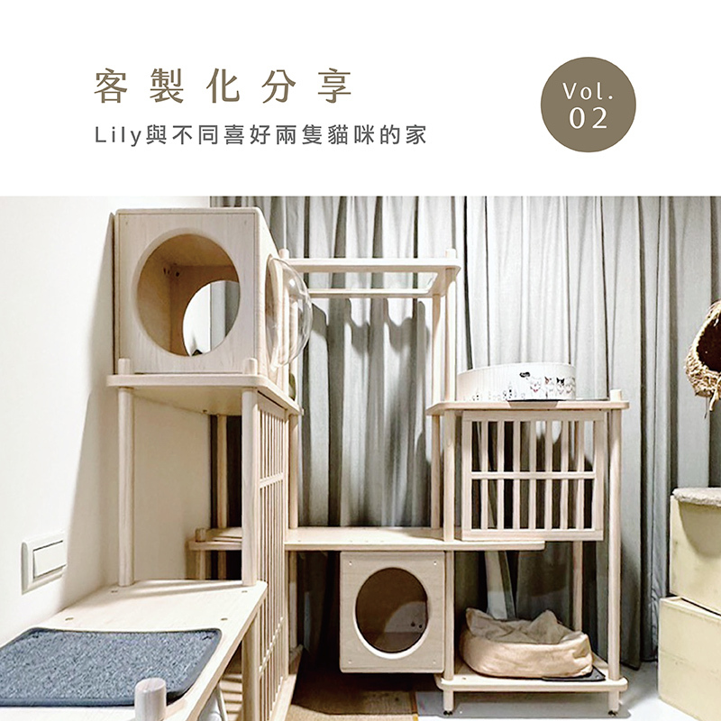 拍拍,paipaipets,貓空間規劃,客製化跳台,貓咪家具,