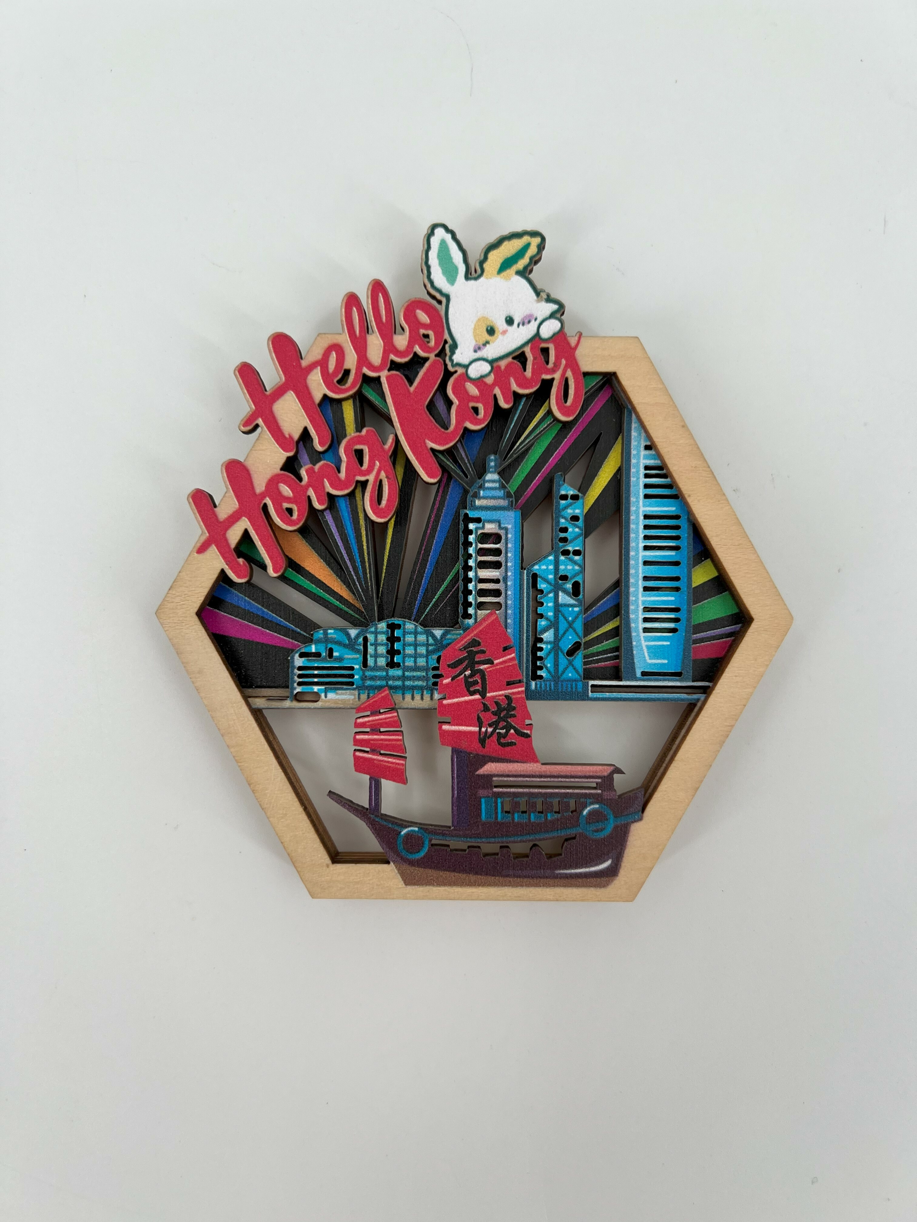 TEAM GREEN hello hong kong X robbi the bunny magnet victoria harbour