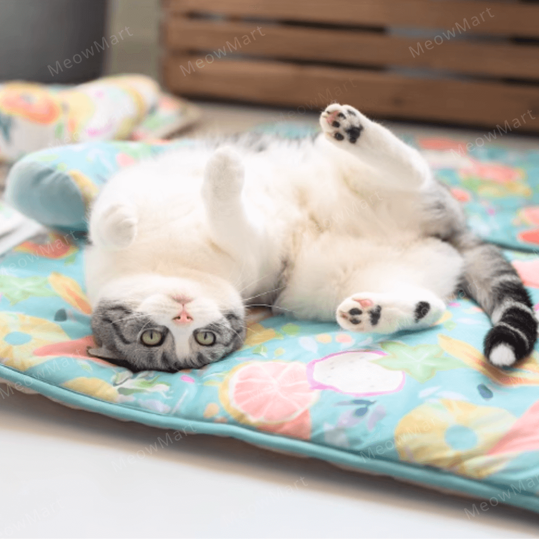 夏日水果涼感L型寵物床 (枕頭款)