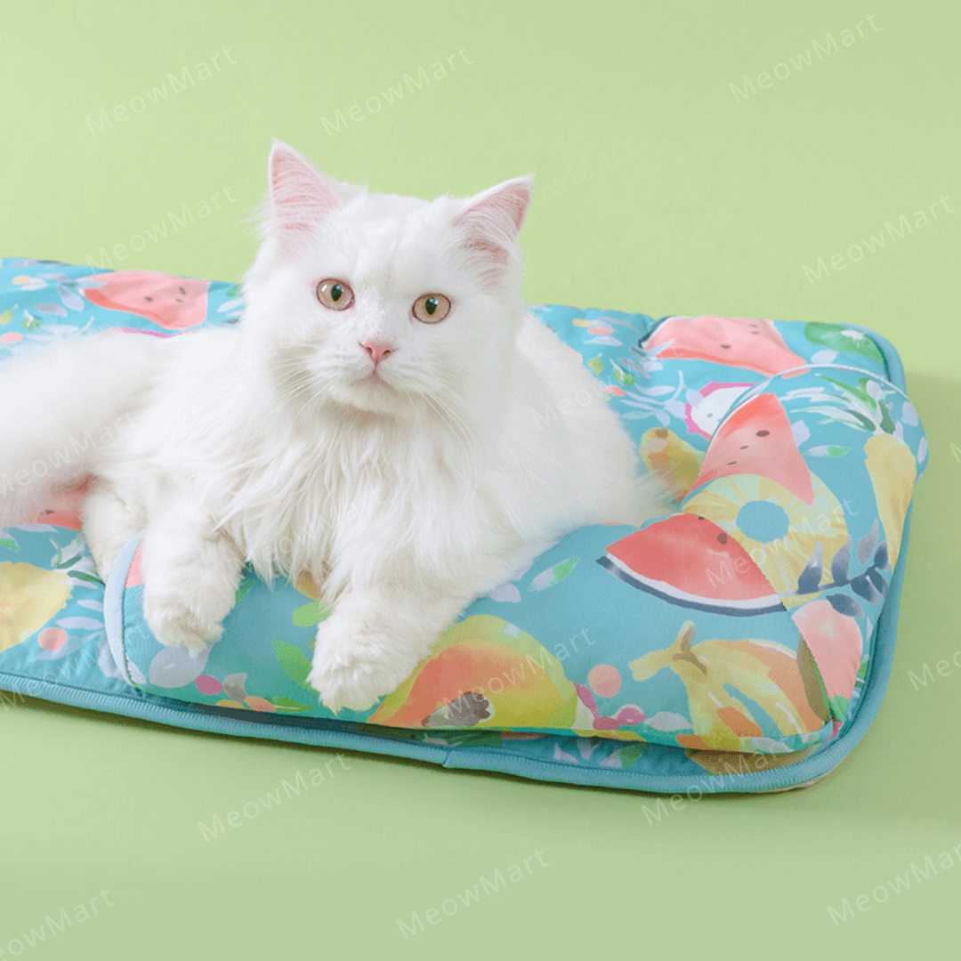 夏日水果涼感L型寵物床 (枕頭款)