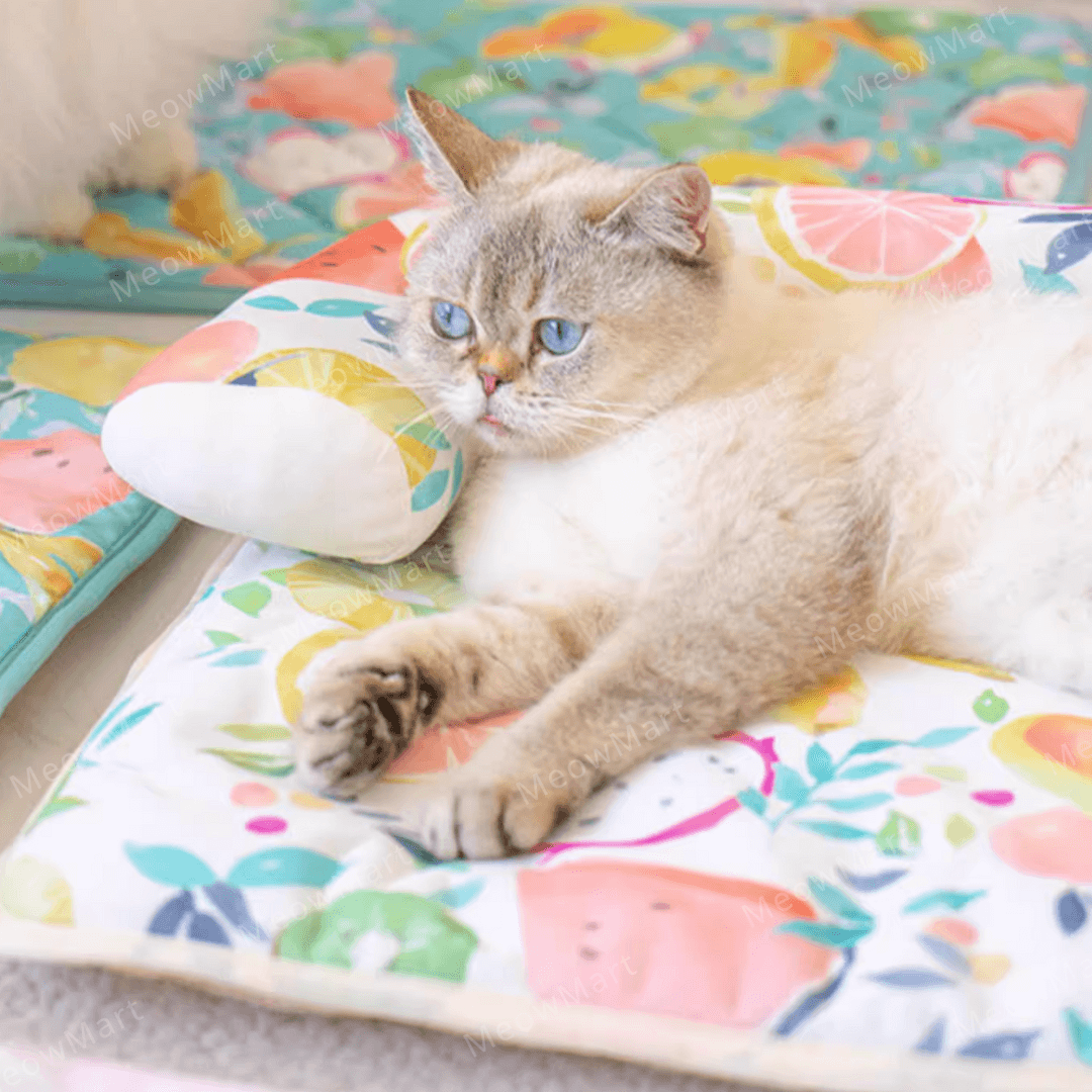 夏日水果涼感L型寵物床 (枕頭款)