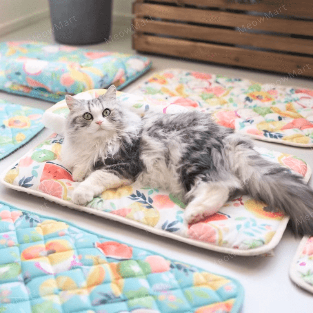 夏日水果涼感L型寵物床 (枕頭款)