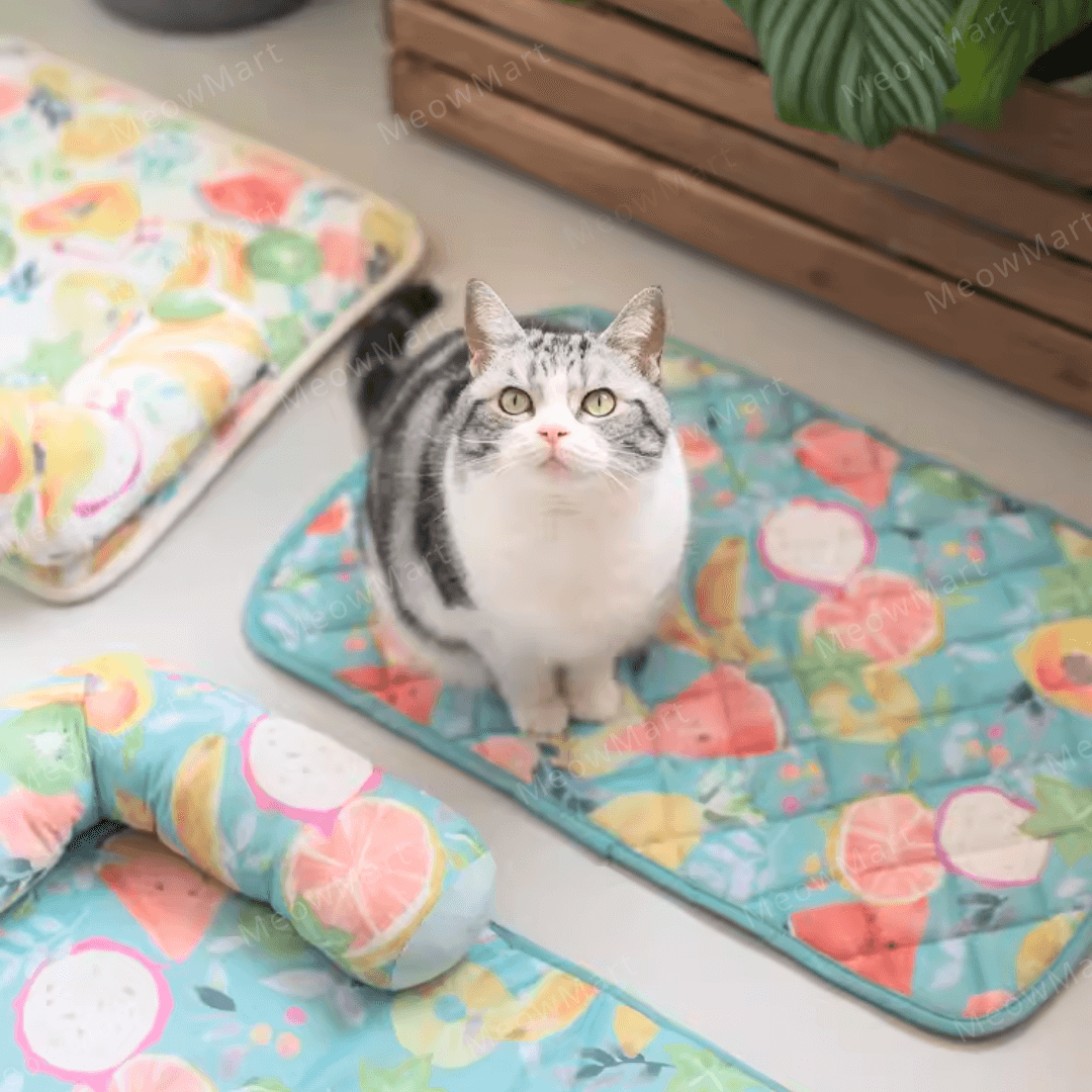 【新品6折】夏日水果涼感寵物墊