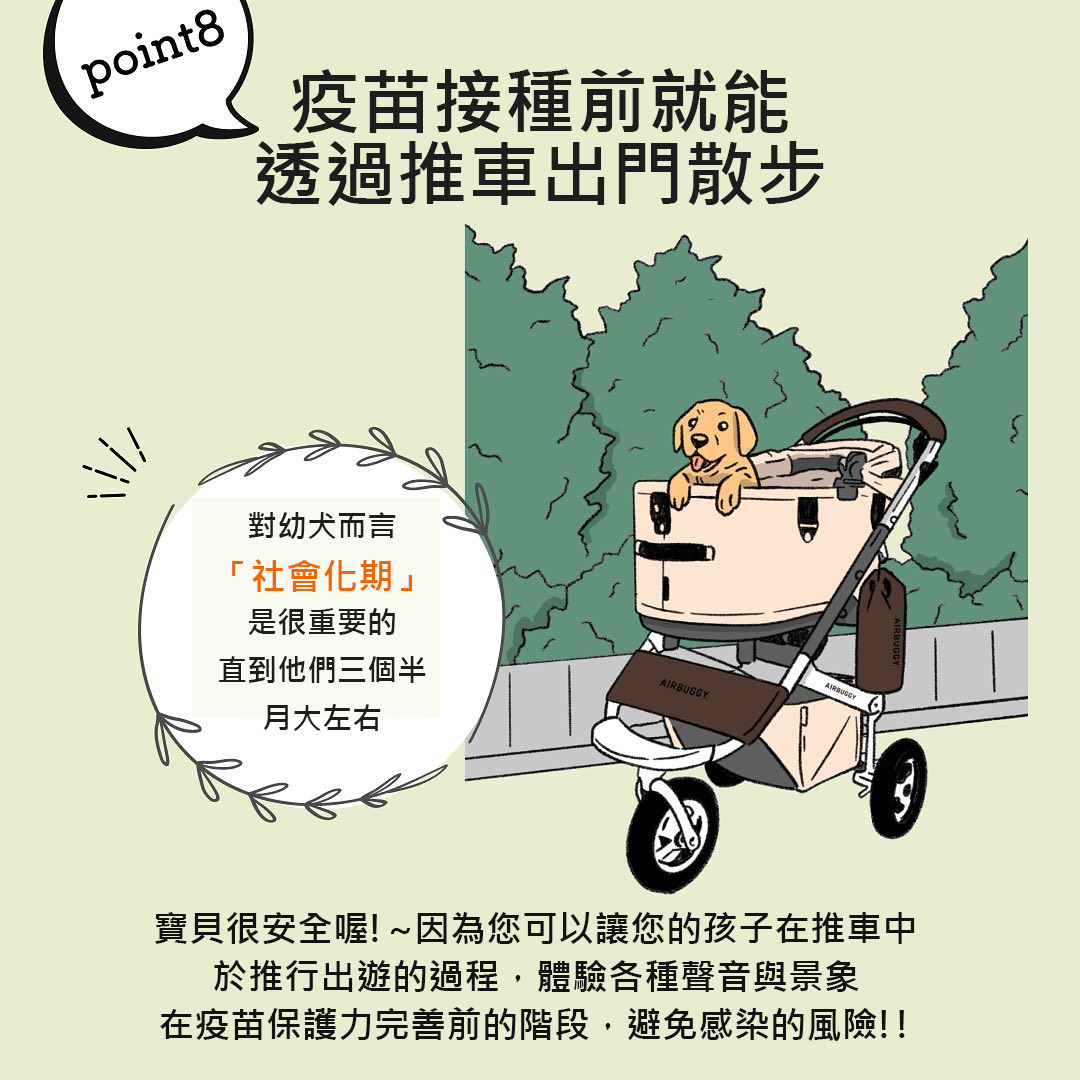 在疫苗保護力形成前、透過推車出遊散步，不錯過社會化的重要階段