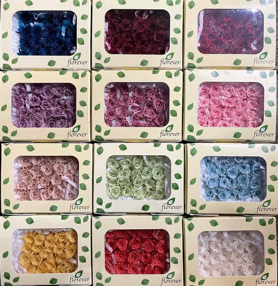 日本Florever永生20輪玫瑰(1.4-2cm)