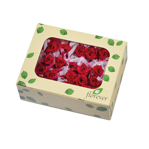 日本Florever永生20輪玫瑰(1.4-2cm)