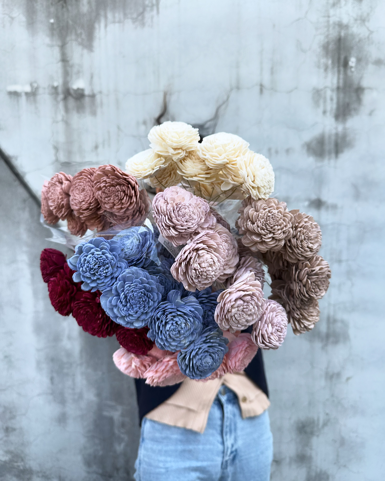 日本太陽玫瑰索拉（大朵 六色）