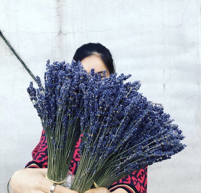 薰衣草(義大利)