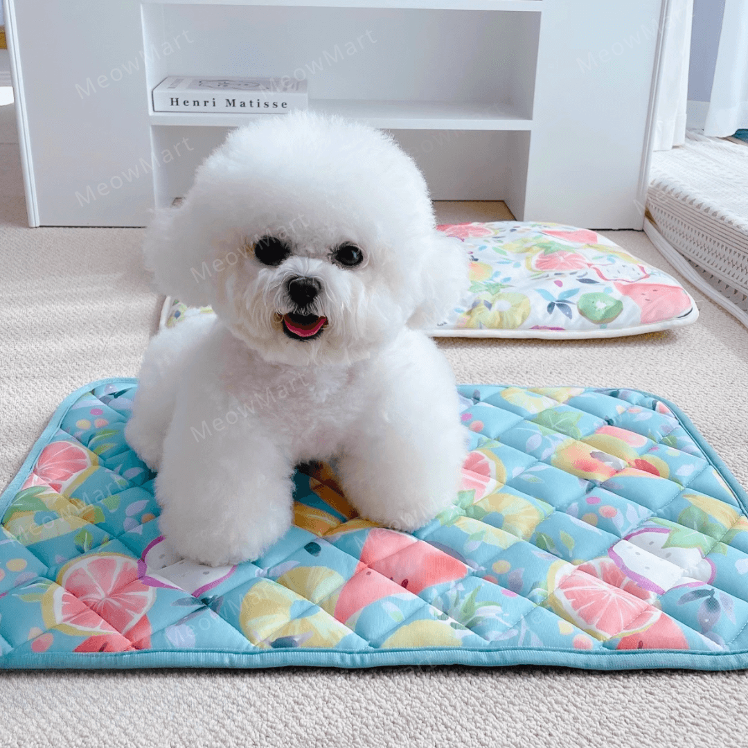 夏日水果涼感寵物墊