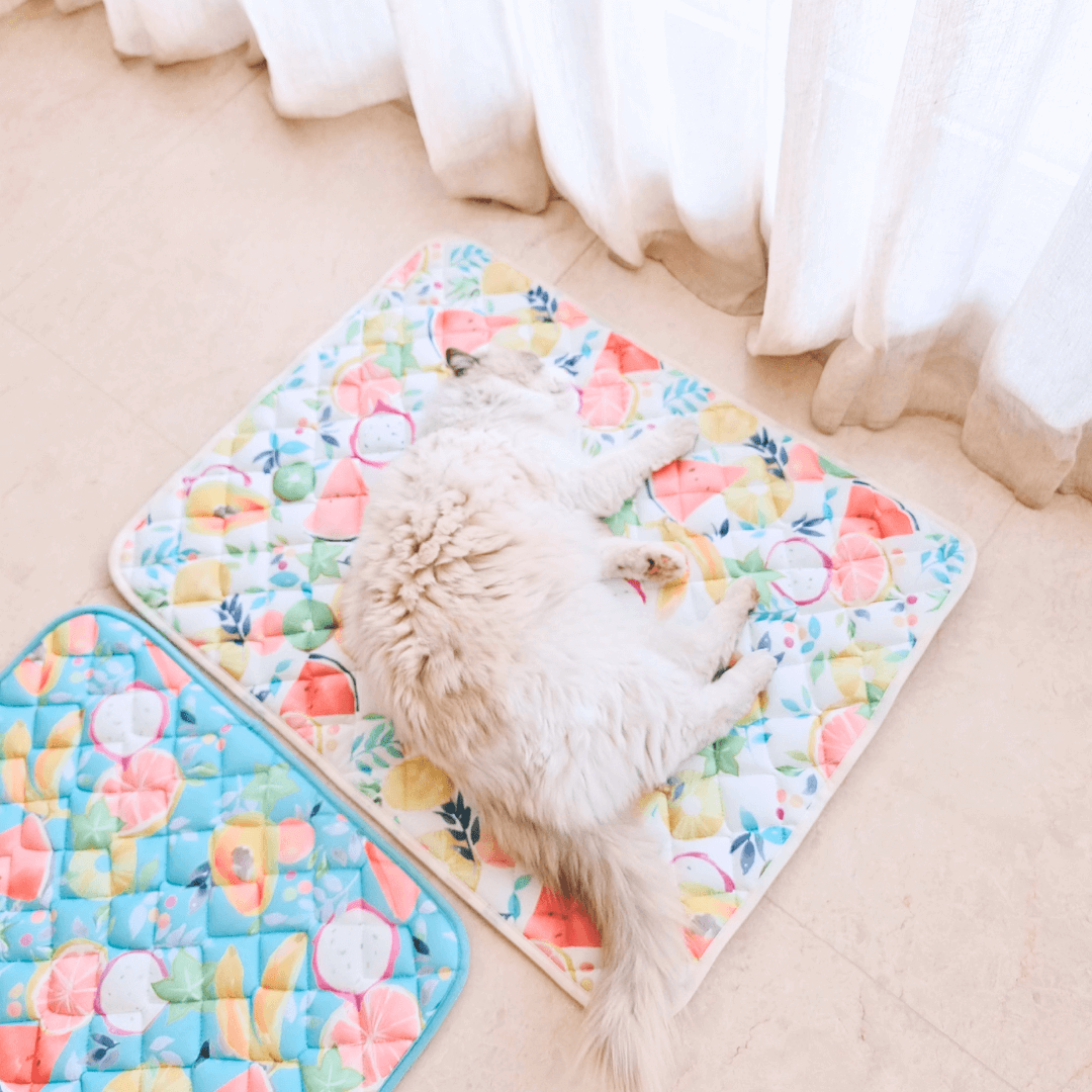 夏日水果涼感寵物墊
