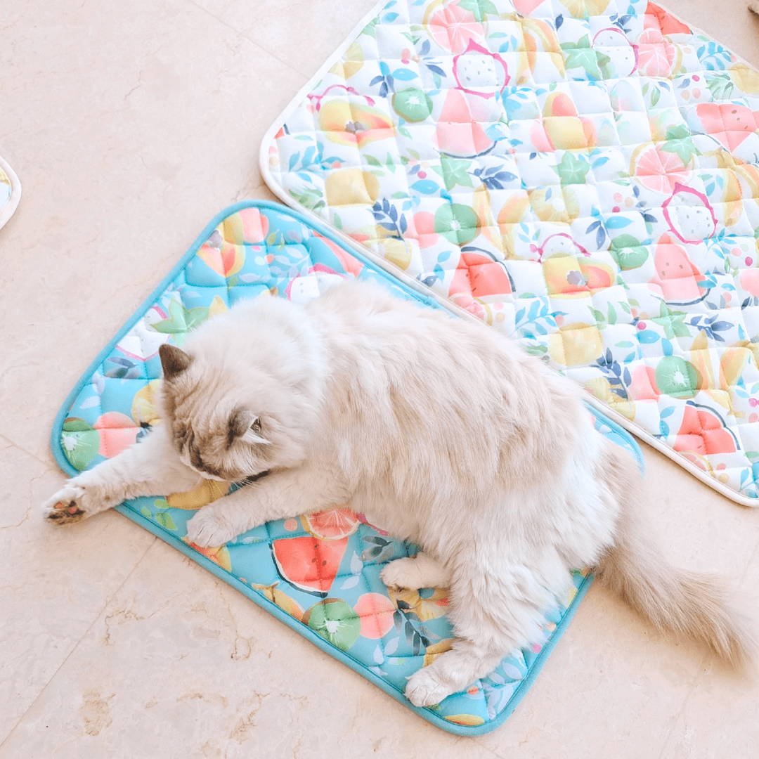 夏日水果涼感寵物墊