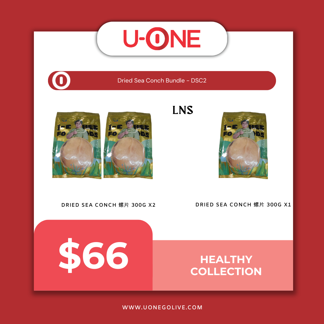 Dried Sea Conch Bundle - DSC2