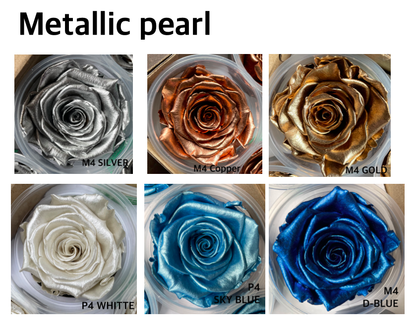 Rose Amor (6輪珠光色/特殊色)