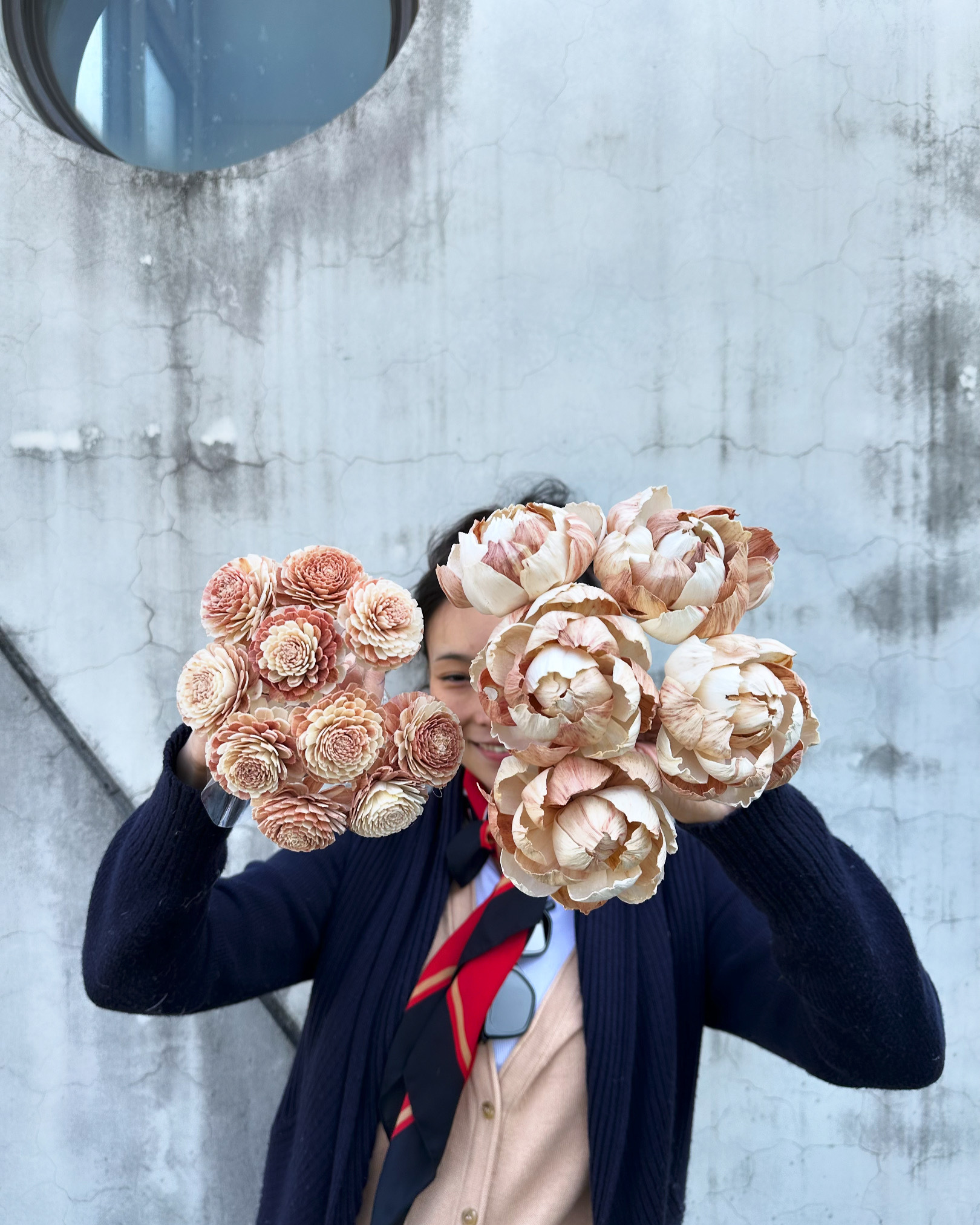 乾燥奶茶索拉/雙色大牡丹